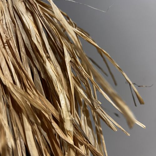 Tevaine  Purdie-Timoteo